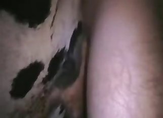 Sweaty close-ups demonstrating bestiality