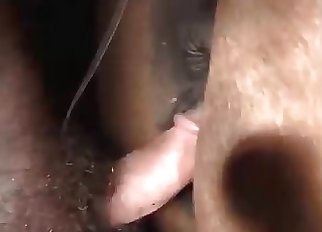 Awesome bestiality sex action and finger-banging