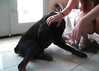 Crazy bestial fucky-fucky with a good trained doggy