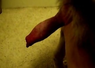 Impressive bestiality sex for you all
