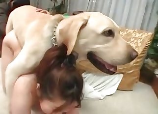 Nasty bestiality activity for a woman and a horny doggo