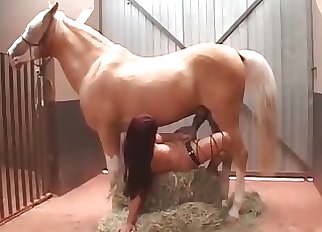 Gorgeous hardcore bestiality XXX with a stallion