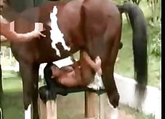 Sexy bestiality porno compilation with horses