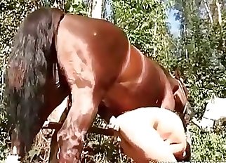 Brown mare is enjoying bestial porn