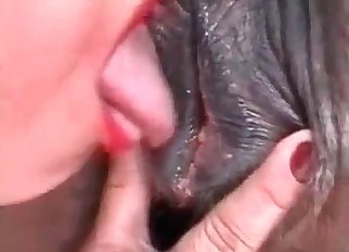 Brunette loves licking pony pussy on cam