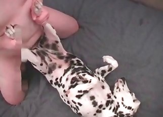 Dalmatian getting drilled by a kinky dude