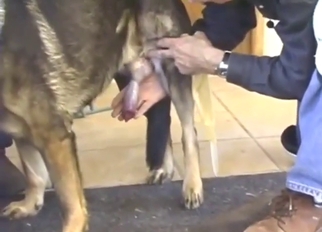 Dude wants to gather amazing seed long run