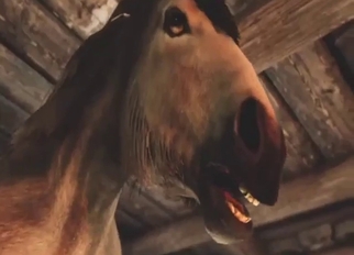 Zoo porn looks wonderful as A she takes horse's cock