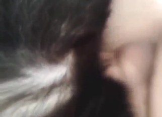 Mega-passionate zoomed-in zoophile video