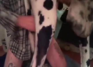 Dane fuck with a guy who gets messy with a dog