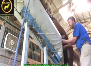 Dude uses his sexy hands to jerk this beast off