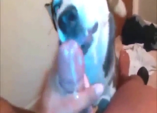 Anal gape for Husky who loves hard anal intercourse