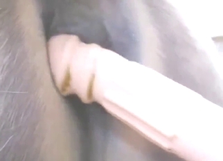 Good grief, a catch animal's chasm gets stretched