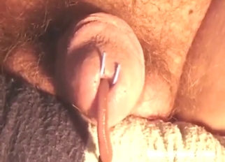 Fucked-up worm porn movie with a gross insect