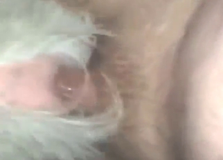 Gigantic cock of a Texan dude slides surrounding that hole