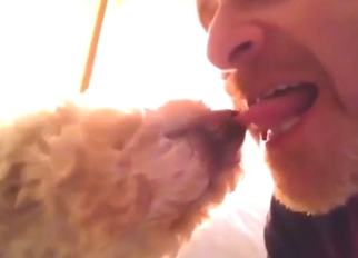 Adorable dog scene around a guy who makes out