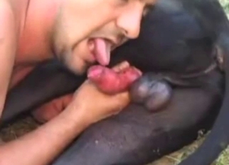 Bestiality porn with a brunette guy sucking dog