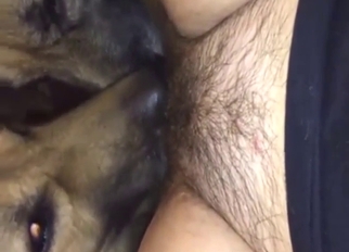 Two animals showing how they lick a coochie