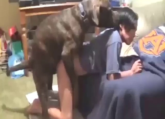 East Asian woman in animal-themed fuck scene