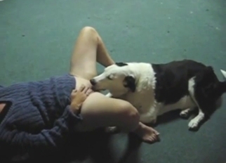 Intense oral counterfeit in animal-centered XXX vid